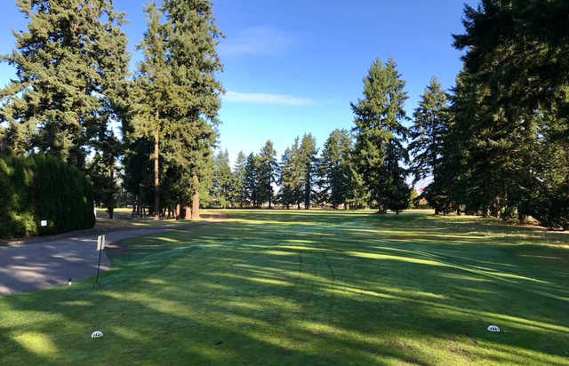 Lake Spanaway Golf Course - photo 2