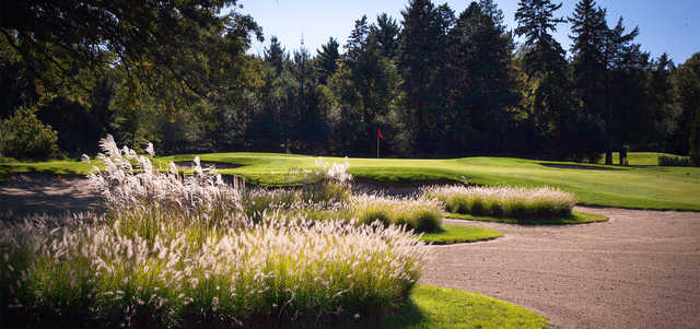 Pine Meadow - photo 3