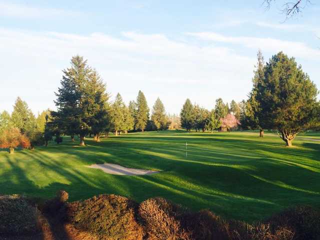 Forest Hills Golf Course - photo 5