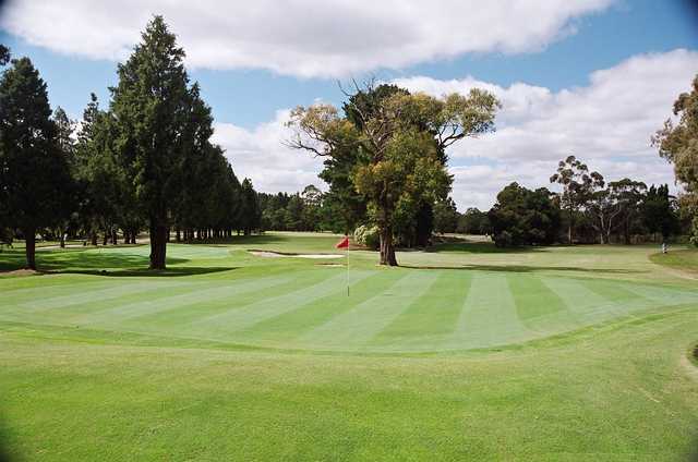 Blackwood Golf Club - photo 2
