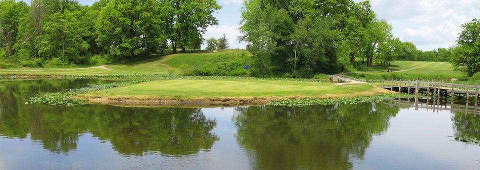 Shamrock Hills Golf Course-MI - photo 5