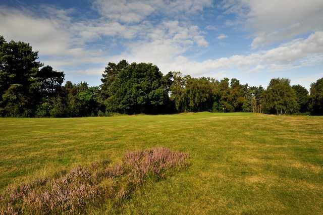 Ipswich Golf Club The Bixley Course - photo 3