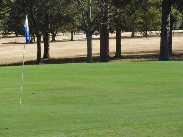 Green Meadows Golf Course - photo 3
