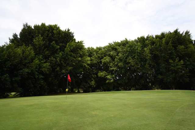 Coplicks Tallebudgera Golf Course - photo 3