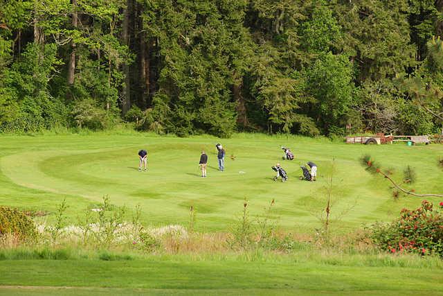Island Greens - photo 3