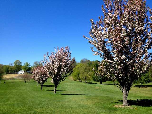 Shawangunk