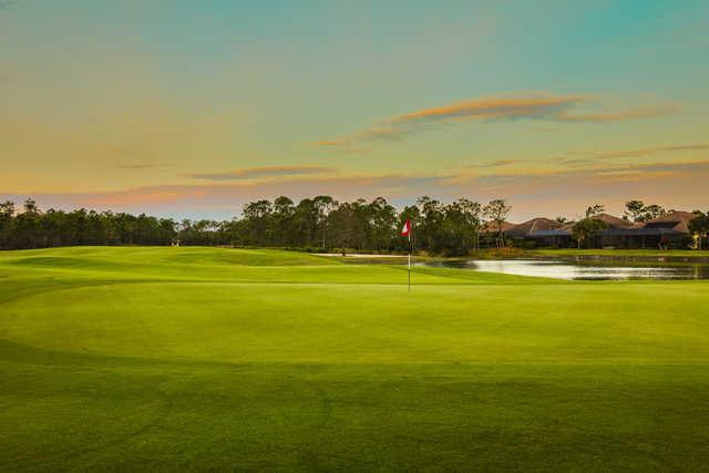 Plantation - photo 3