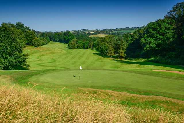 Malone Golf Club - Edenderry - photo 2
