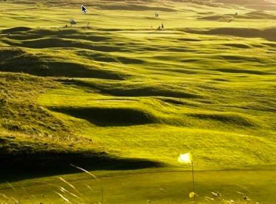 West Cornwall Golf Club - photo 5