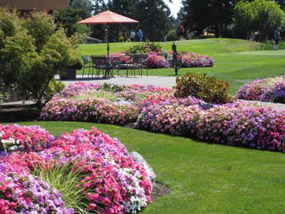 Highlands Golf Course - Tacoma - photo 5