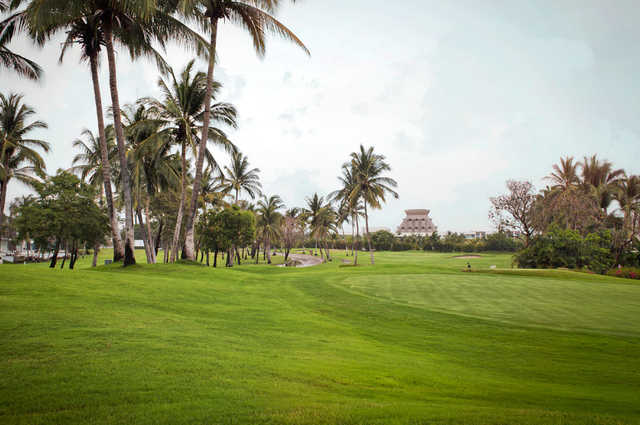 The Golf Course at Vidanta Acapulco - photo 4