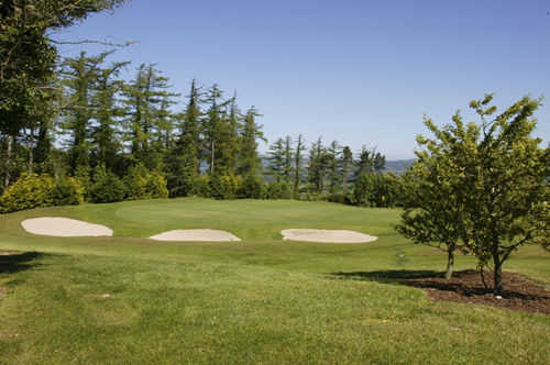 Carrick on Suir Golf Club - photo 3