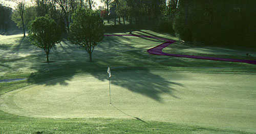Forest Lake Country Club - photo 6