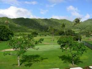 Hawaii Kai Golf Course - Executive - photo 5