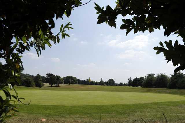 Whitewebbs Golf Club - photo 3