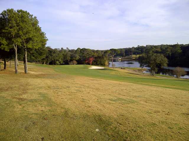 Eagle - photo 2