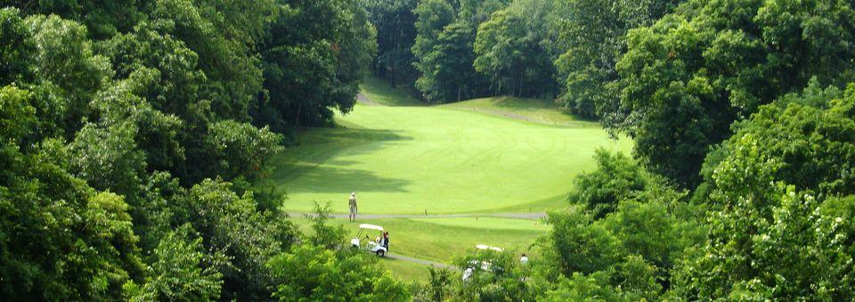 Lick Creek Golf Course - photo 4