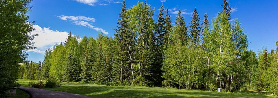Gilwood Golf and CC - photo 3