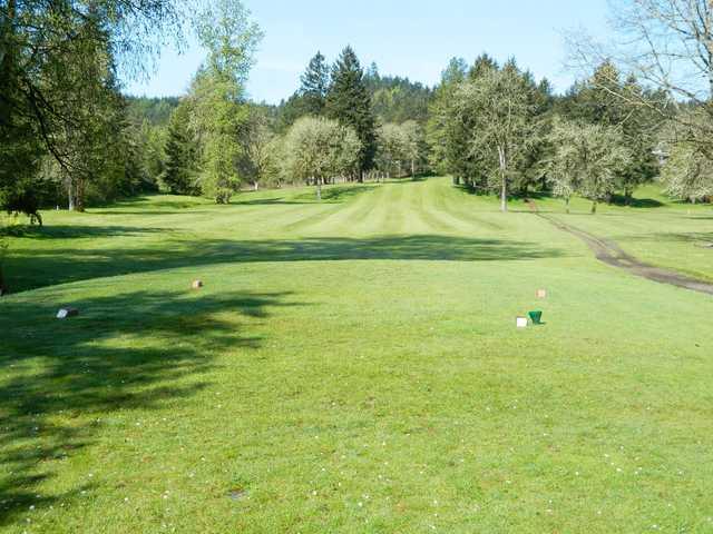 Pineway Golf Course - photo 2