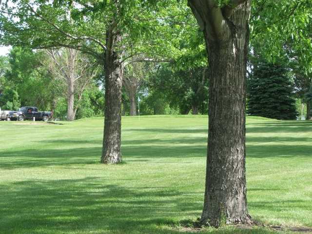 Graceville Golf Club - photo 3