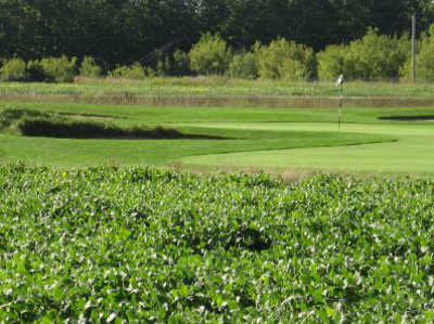 Royal St. Patrick's Golf Course - photo 3