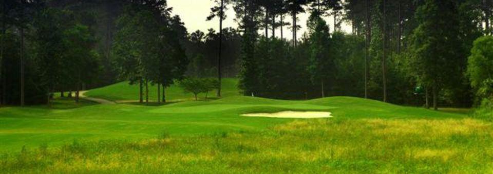 Stonebridge Golf Club - GA - photo 3