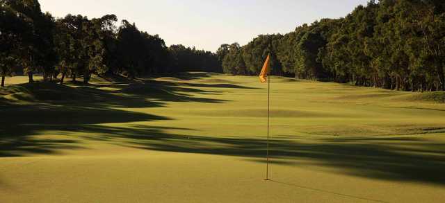 Twin Waters Golf Club - photo 4