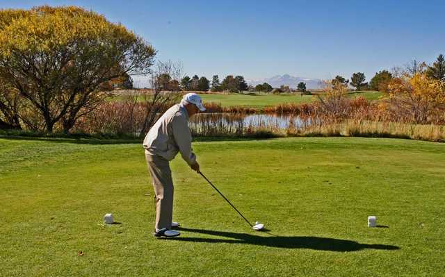 Boomerang Links - photo 3