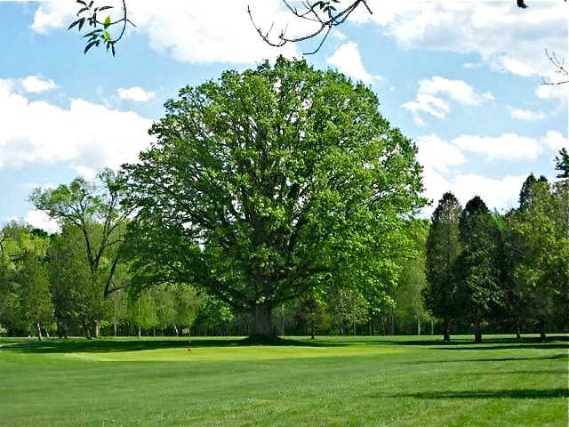 Town Isle Golf & Country Club - photo 3