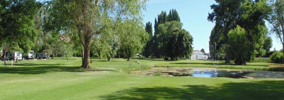 Oasis RV Park & Golf Course - photo 2