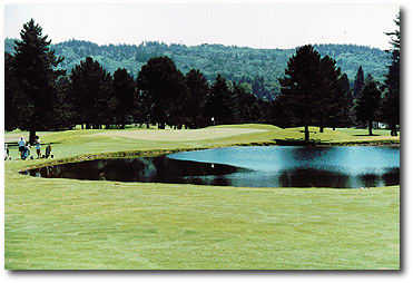Lewis River Golf Course - photo 6
