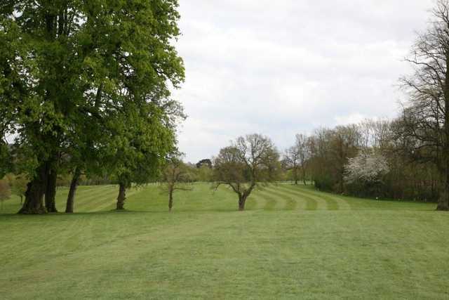 Shendish Manor Hotel and Golf Course - photo 2