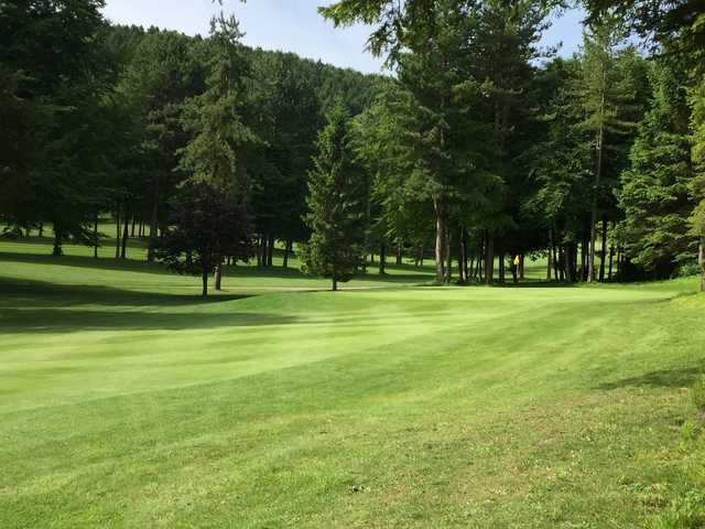 Chiltern Forest Golf Club - photo 1