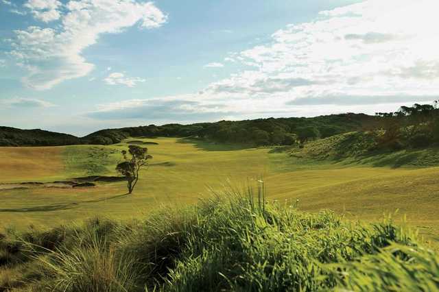 Portsea Golf Club - photo 5