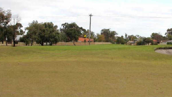 Collier Park Golf Club - photo 2