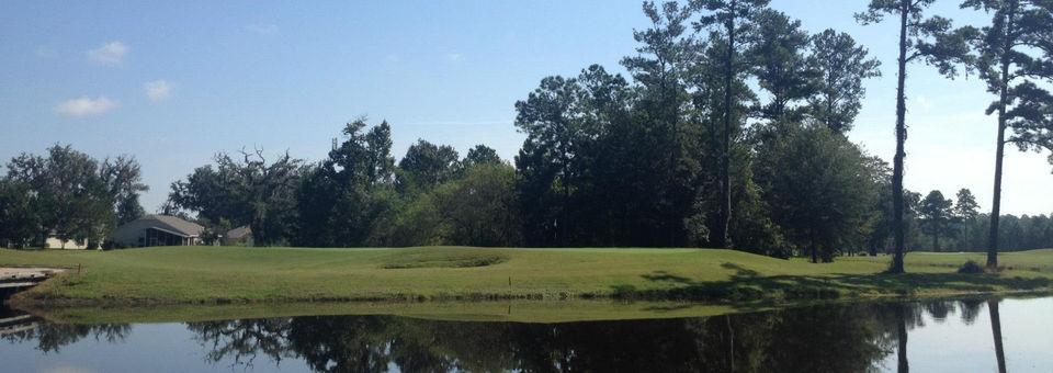 Hernando Oaks Golf and Country Club - photo 5