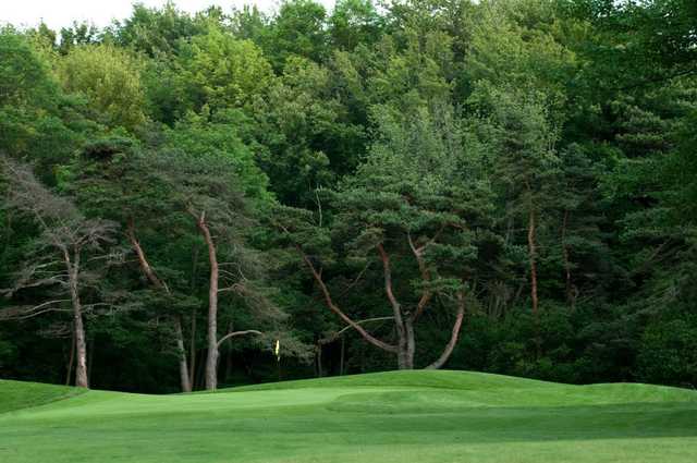 Valley View Golf Course - photo 3