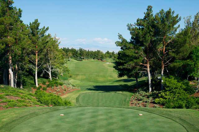 Shadow Creek - photo 2