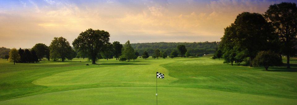 Reeves Golf Course - photo 3