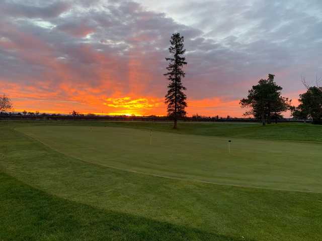 Micke Grove Golf Links - photo 2