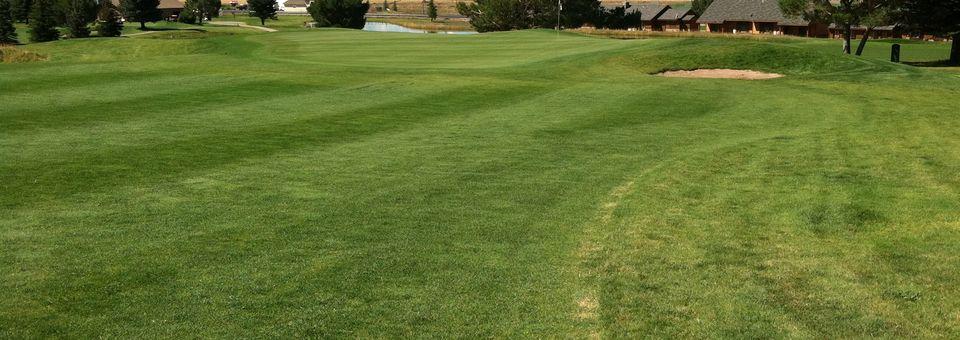Star Valley View Golf Course - photo 2