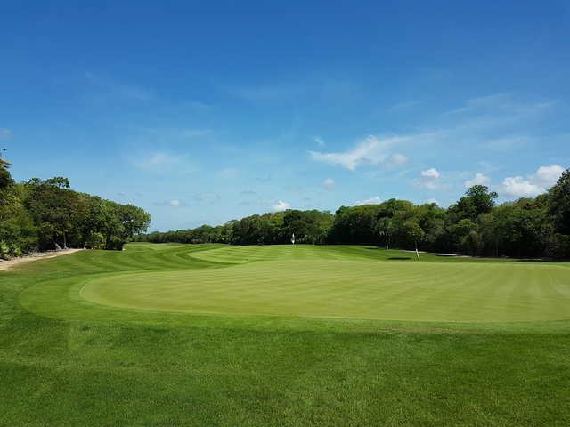 Gran Coyote Golf - photo 8