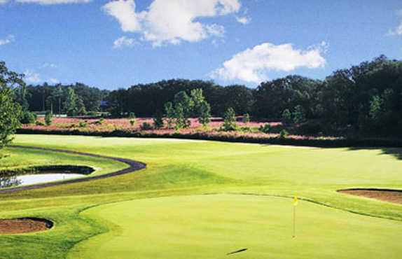 The Links at Erie Village - photo 4