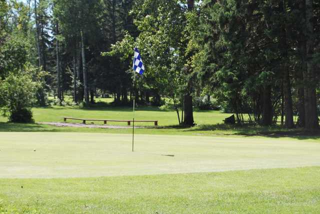 Pigeon Lake Golf Club - photo 2