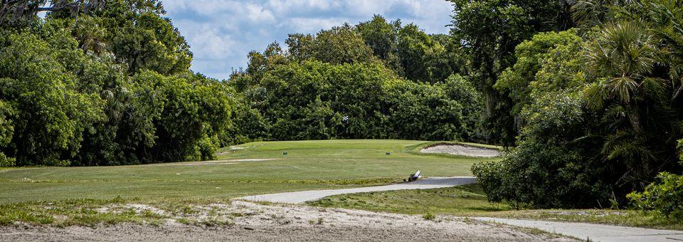 Manatee Golf Course - photo 6