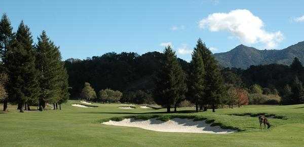 Meadow Club - photo 5