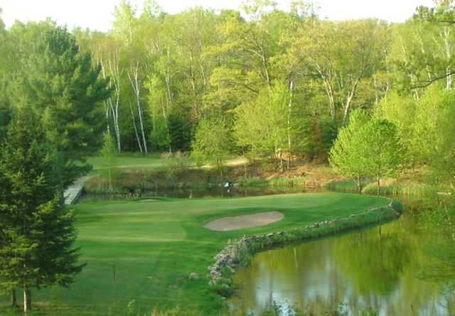 Teal Wing Golf Club - photo 2