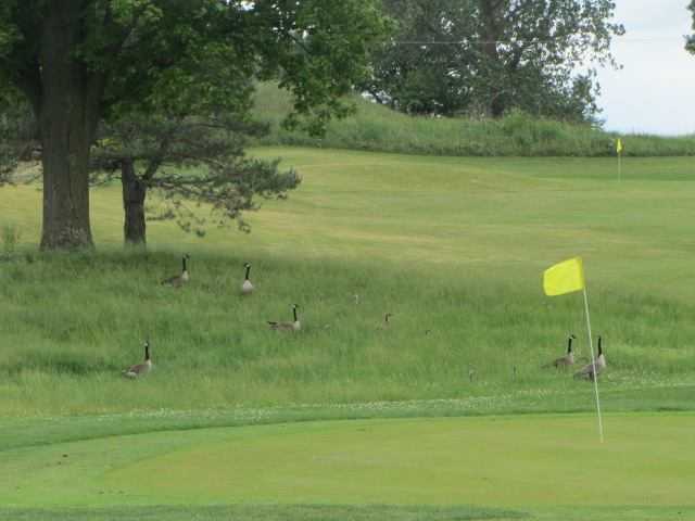 Dorchester Golf Club - photo 3