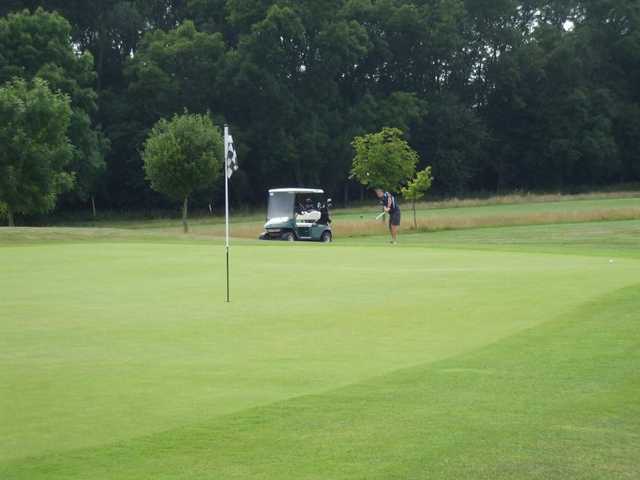 Woolfox Golf