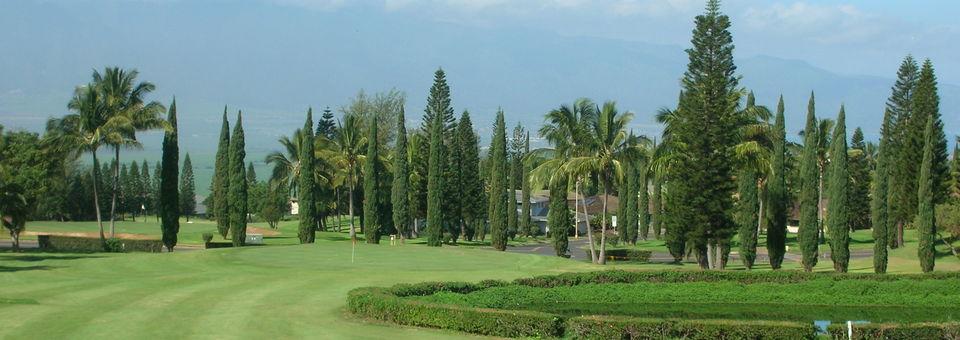 Pukalani Country Club - photo 3